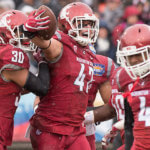 The Cougars are Defying the Odds