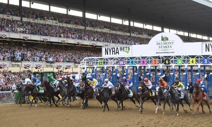 bet the belmont